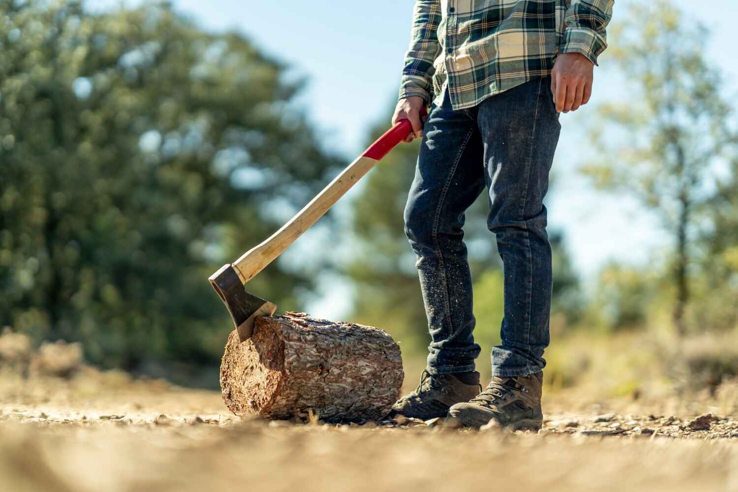 Professional Tree Service in Cartersville, GA